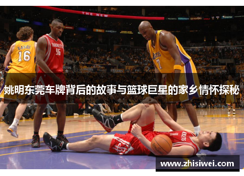 姚明东莞车牌背后的故事与篮球巨星的家乡情怀探秘