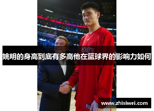 姚明的身高到底有多高他在篮球界的影响力如何